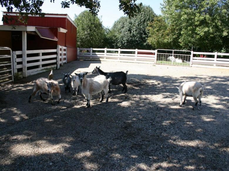 Cabines de la Ferme Creek de la Société 2s