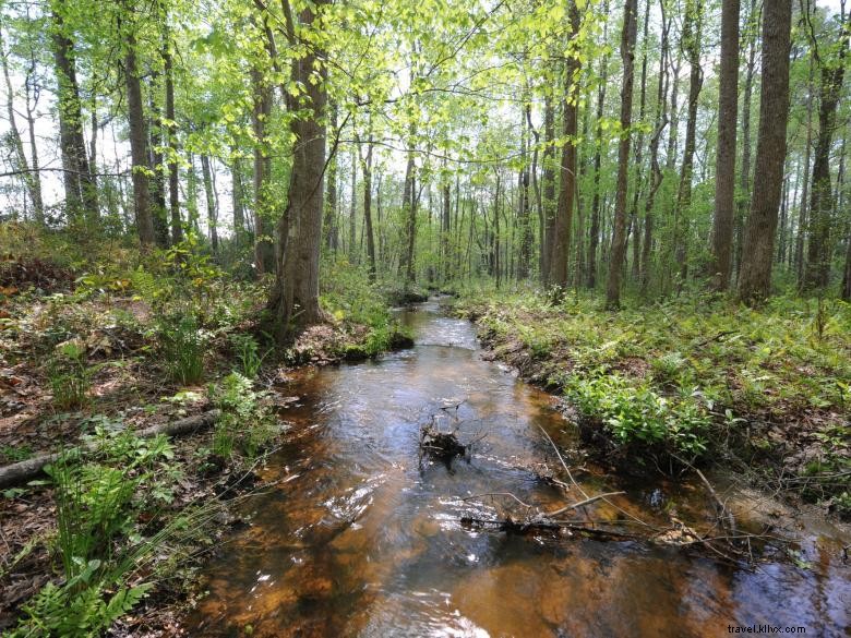 Camping dans la zone de pêche publique de McDuffie