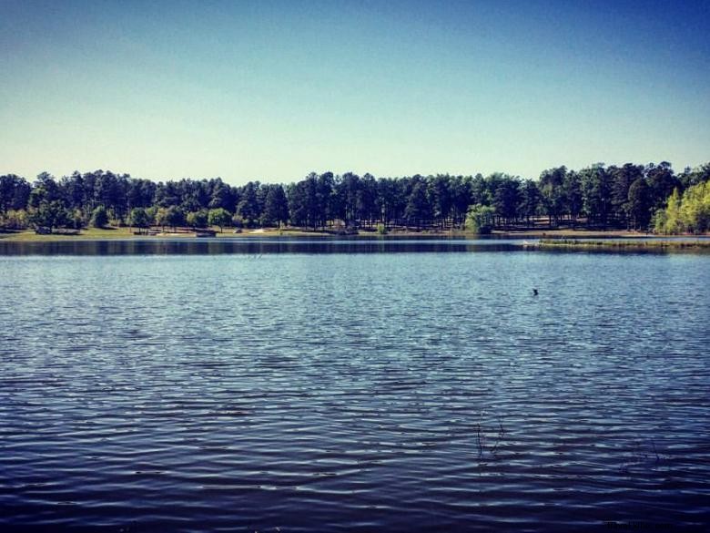 Camping dans la zone de pêche publique de McDuffie