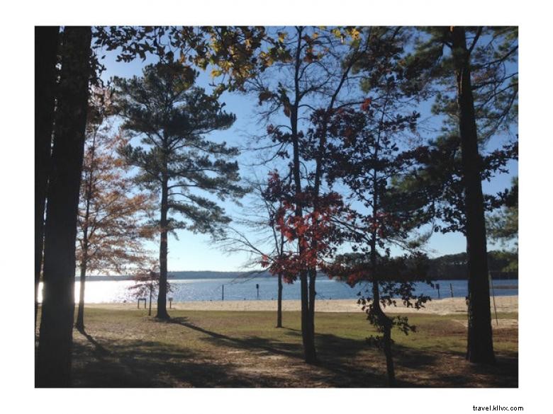 Parc de camping Cotton Hill