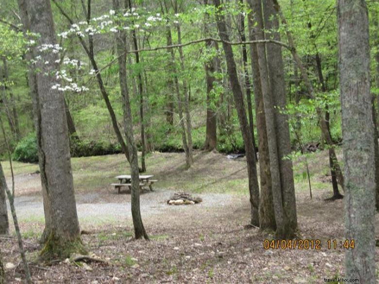 Camping Long Ridge, SARL