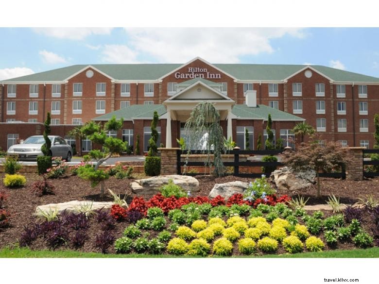 Hilton Garden Inn Atlanta Sud – McDonough