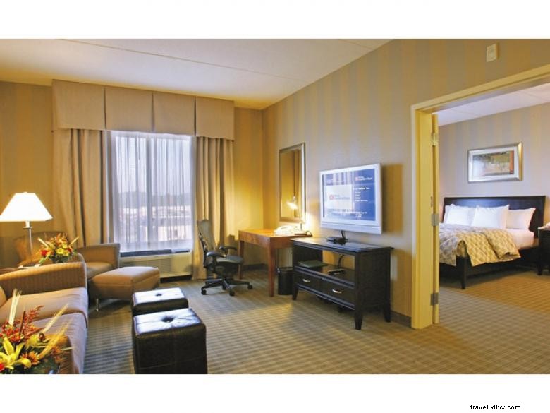 Hilton Garden Inn Atlanta Sud – McDonough
