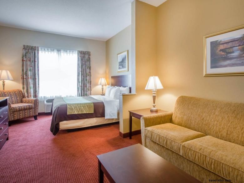 Comfort Inn Blackshear – Hôtel familial à Blackshear