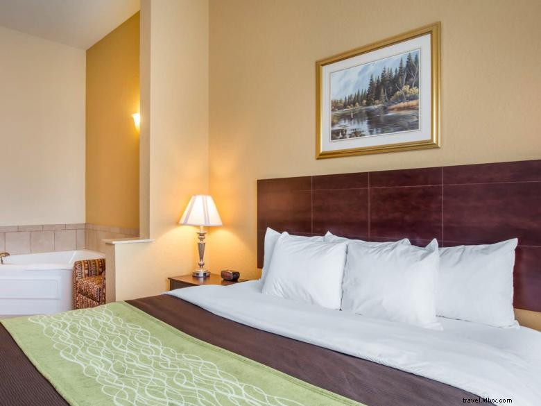 Comfort Inn Blackshear – Hôtel familial à Blackshear