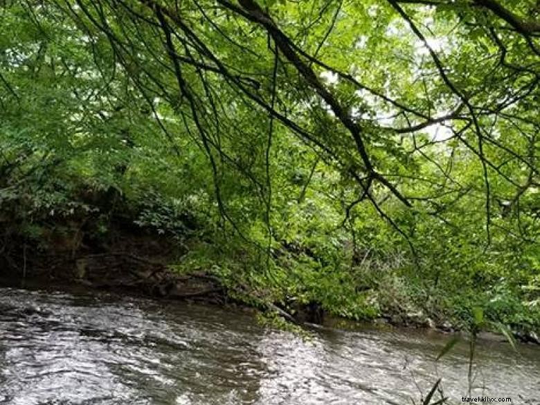Camping du fleuve Nottely