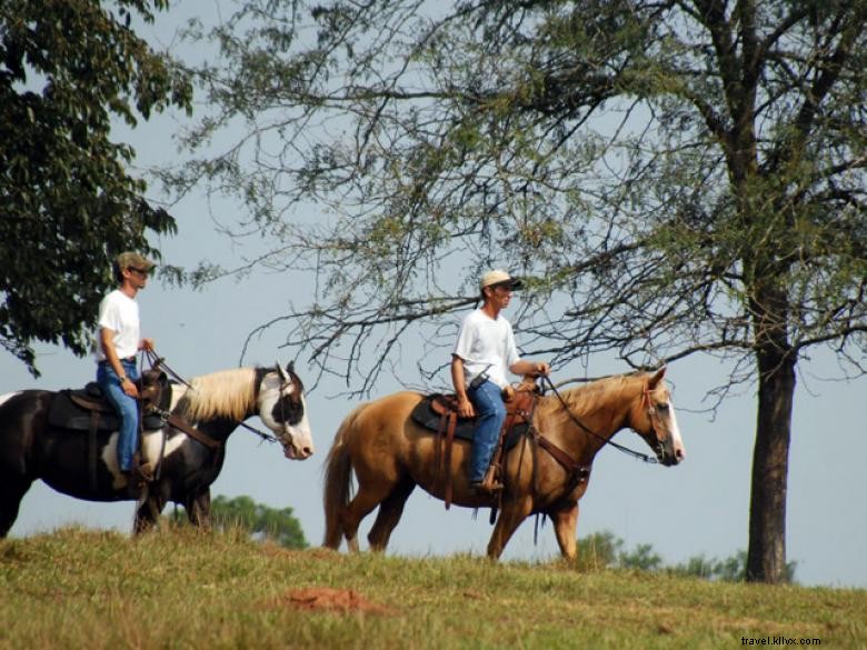 Ranch d Hôtes Southern Cross