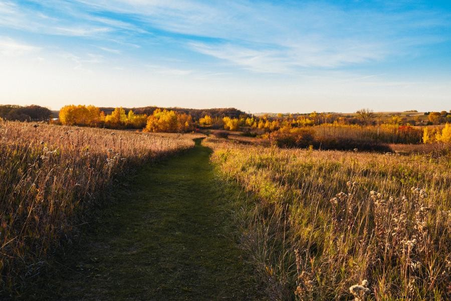 10 parcs d État du Minnesota à explorer en camping‑car