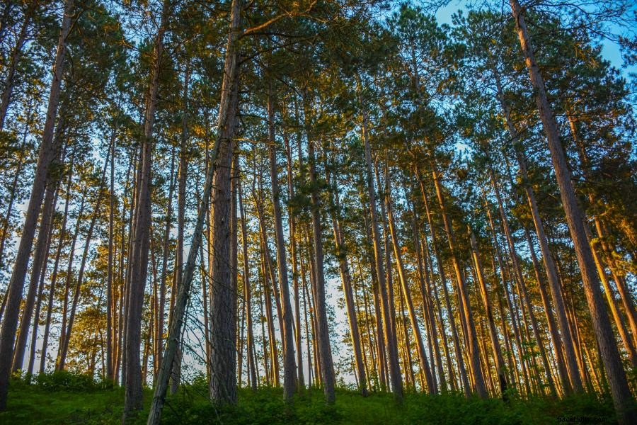 Les campings de randonnée les plus isolés du Minnesota