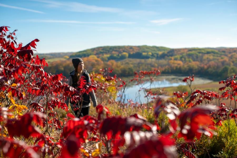 Les campings de randonnée les plus isolés du Minnesota