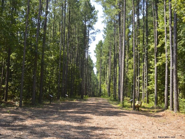Sentier historique du baptême
