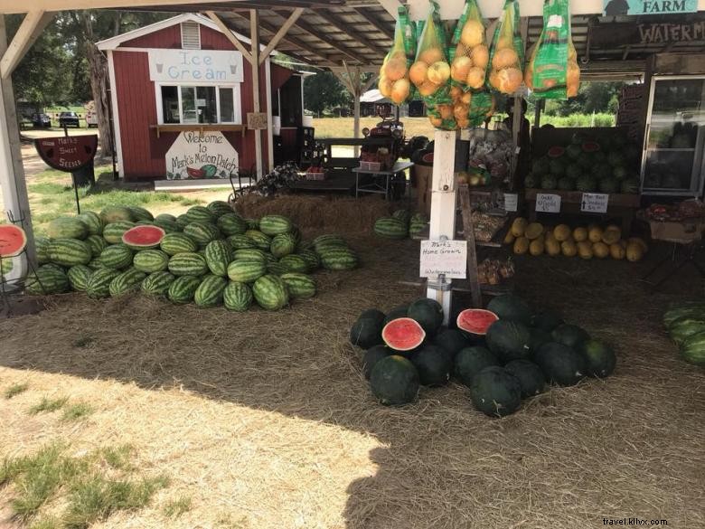 Le Champ de Melons de Mark