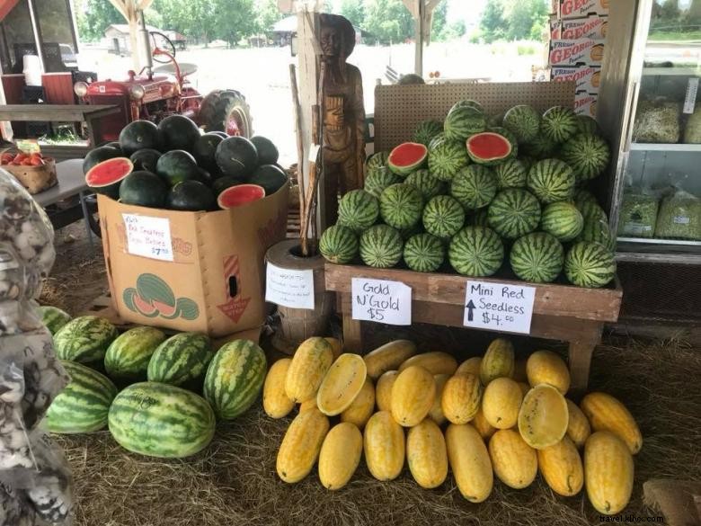Le Champ de Melons de Mark