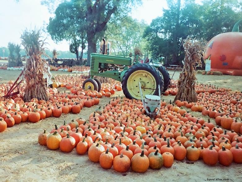 Le Champ de Melons de Mark