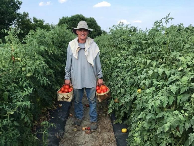 Le Champ de Melons de Mark