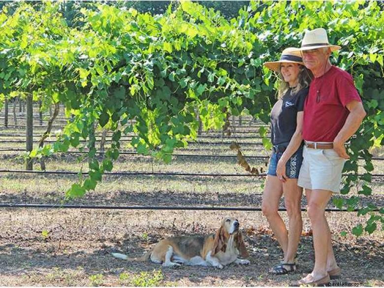Vignoble Watermelon Creek