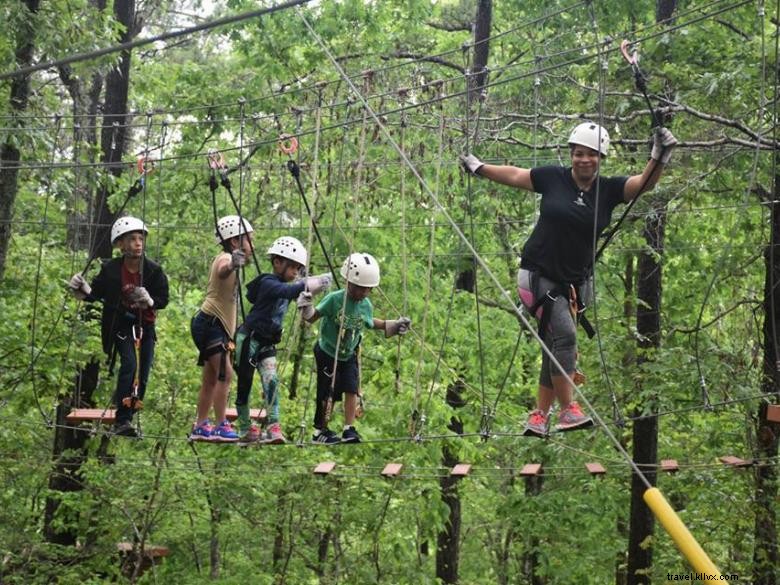 Tours de tyrolienne écologique Screaming Eagle à Banning Mills