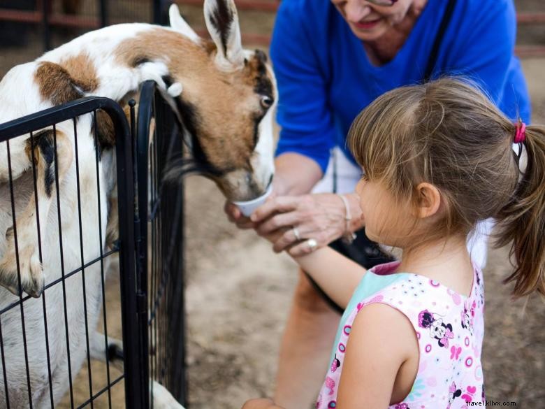 Ferme Mitcham – Une ferme familiale centenaire près d Atlanta