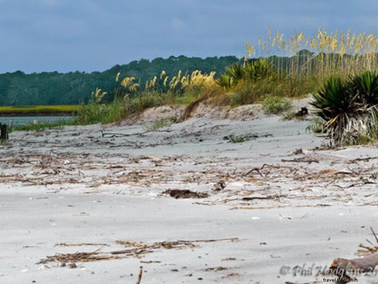 Côte géorgienne – Savannah et ses merveilles naturelles