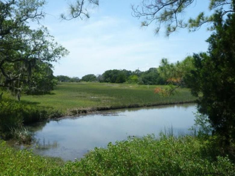 Côte géorgienne – Savannah et ses merveilles naturelles
