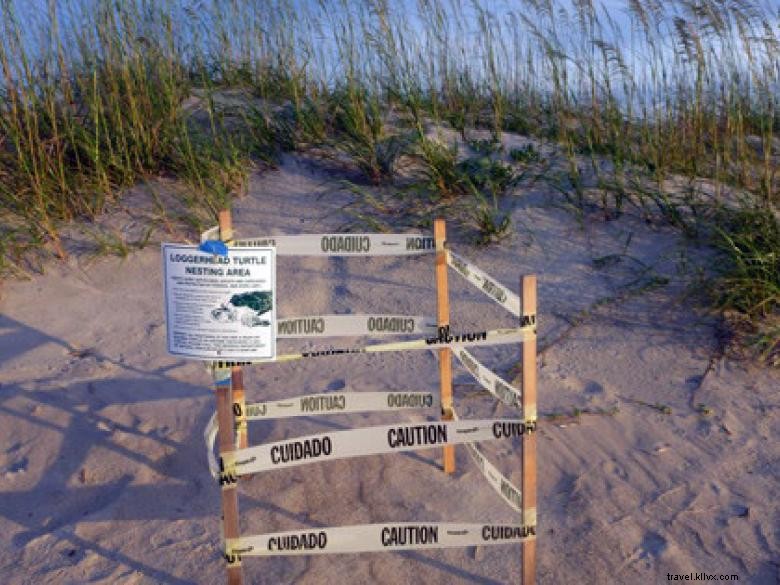Côte géorgienne – Savannah et ses merveilles naturelles