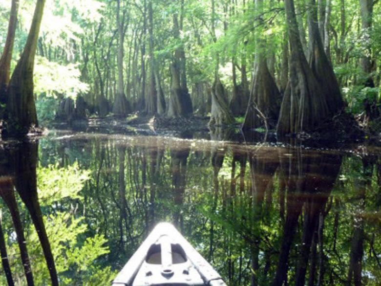 Côte géorgienne – Savannah et ses merveilles naturelles