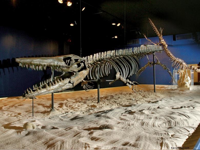 Musée de l Université Georgia Southern