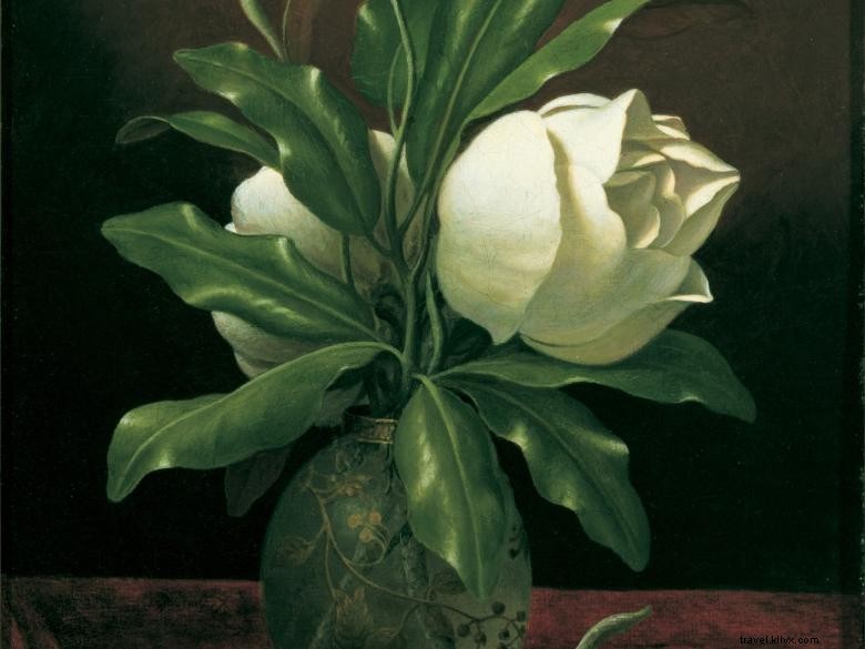 Le Musée d art Morris