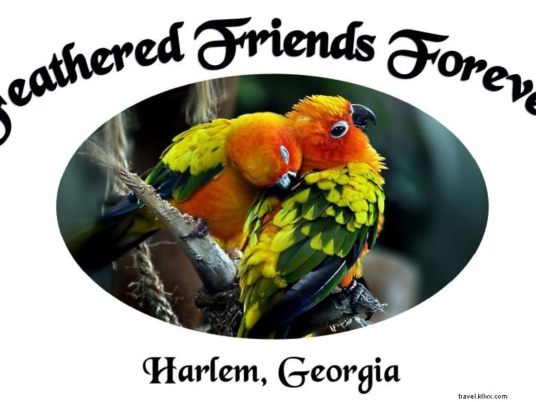 Feathered Friends Forever – Refuge et Sauvetage d’Oiseaux, Inc.