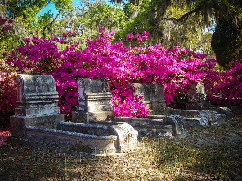 Tours Dash du Cimetière Bonaventure à Savannah