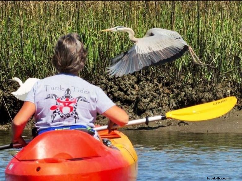Turtle Tides Jekyll – Locations et Tours
