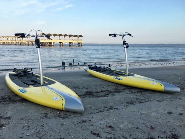 Turtle Tides Jekyll – Locations et Tours