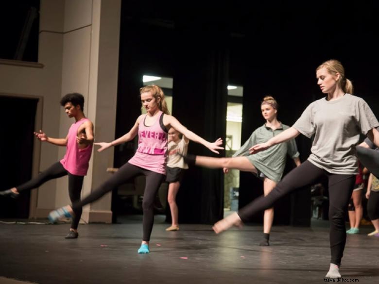 Centre d arts de Carrollton