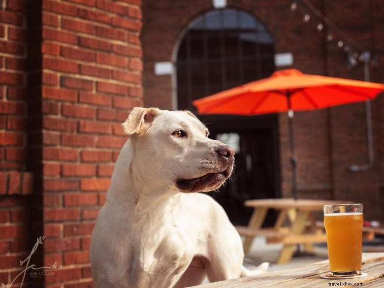 Georgia Beer Co.