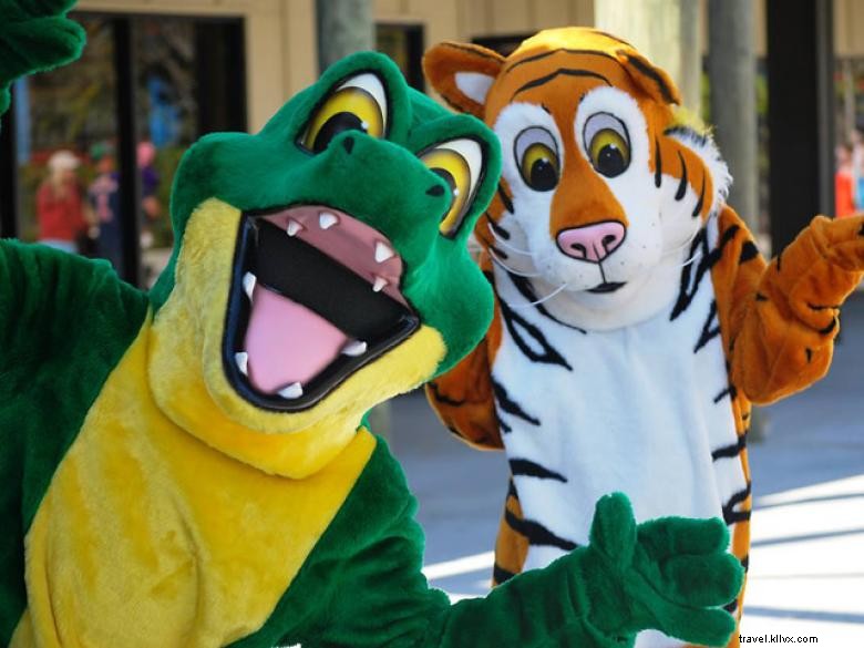Parc d attractions Wild Adventures