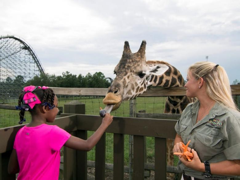 Parc d attractions Wild Adventures