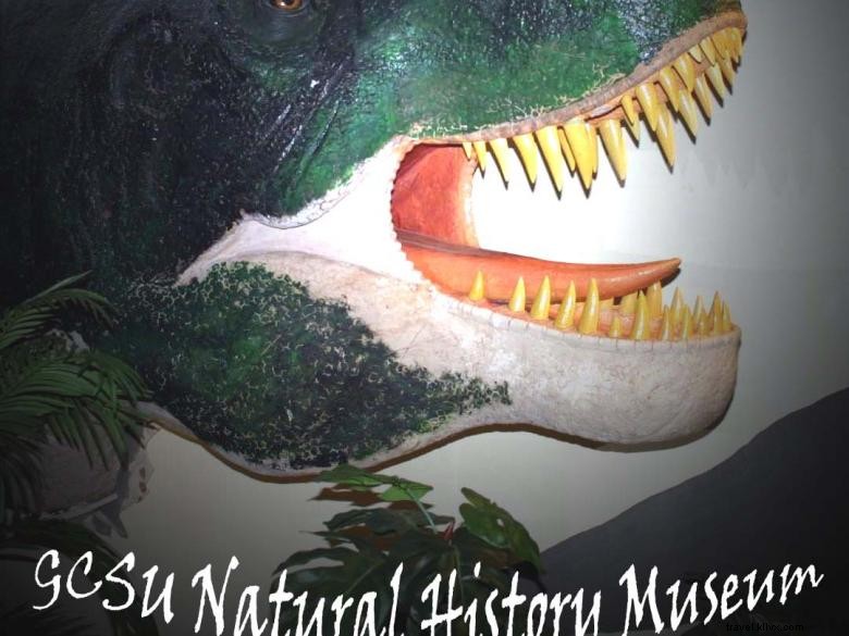 Musée d histoire naturelle du Georgia College & State University