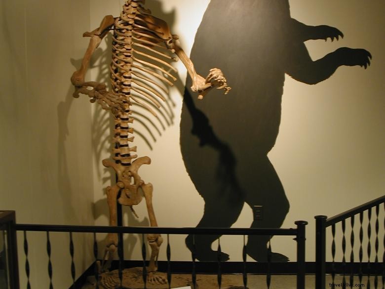 Musée d histoire naturelle du Georgia College & State University