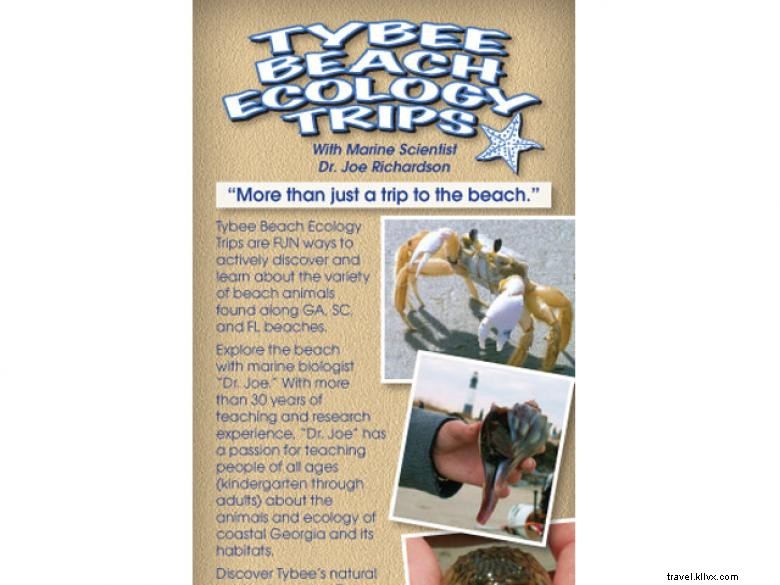 Excursions écologiques à Tybee Beach