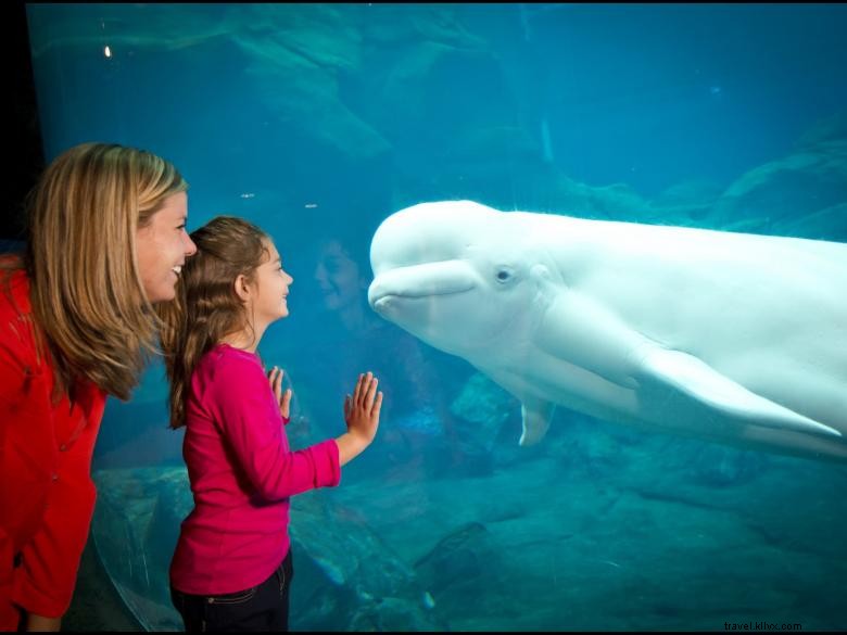 Aquarium de Géorgie