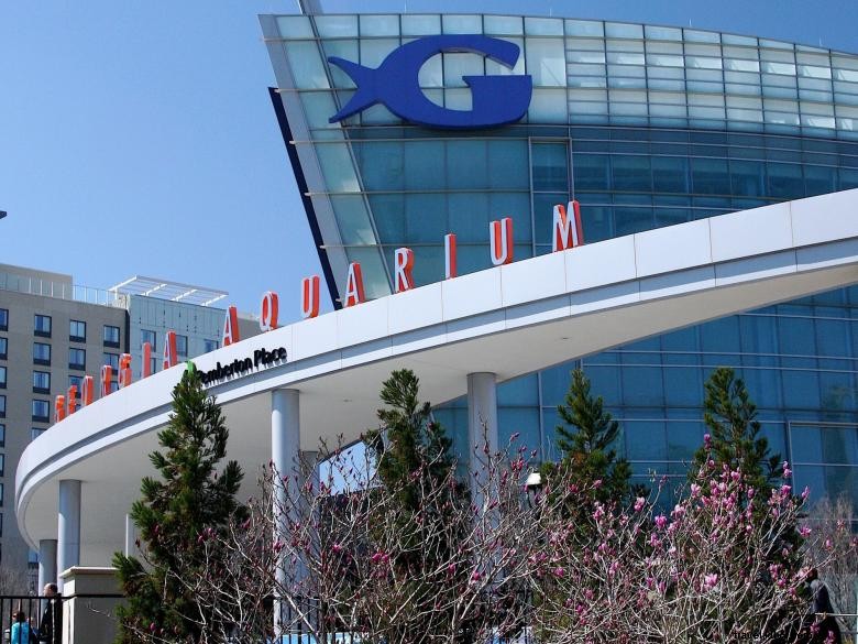 Aquarium de Géorgie