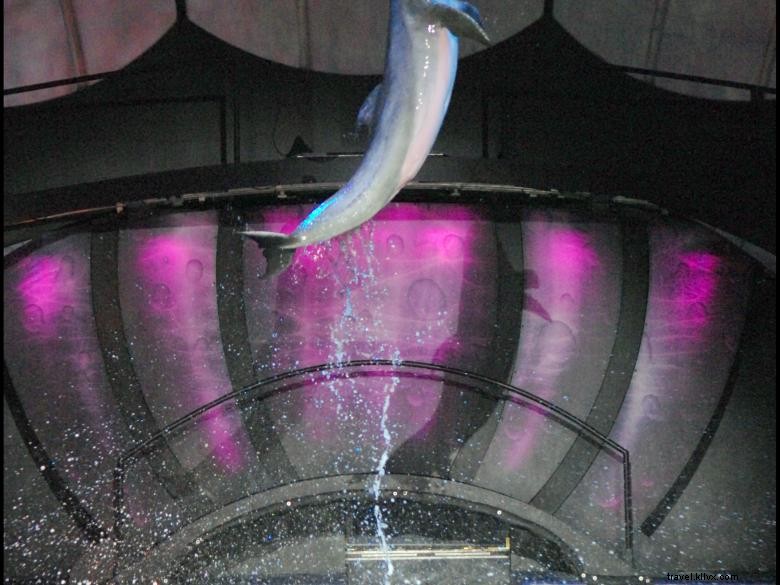 Aquarium de Géorgie