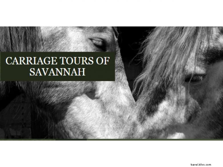 Balades en calèche à Savannah