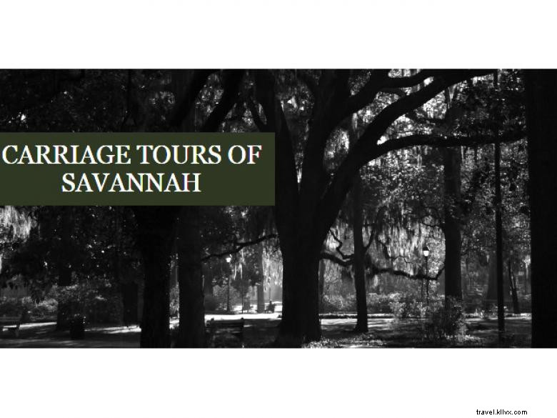 Balades en calèche à Savannah
