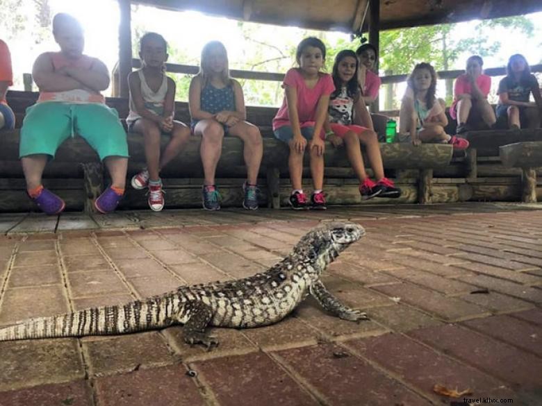 Parc Chehaw – Un refuge naturel du Sud-Ouest de la Géorgie