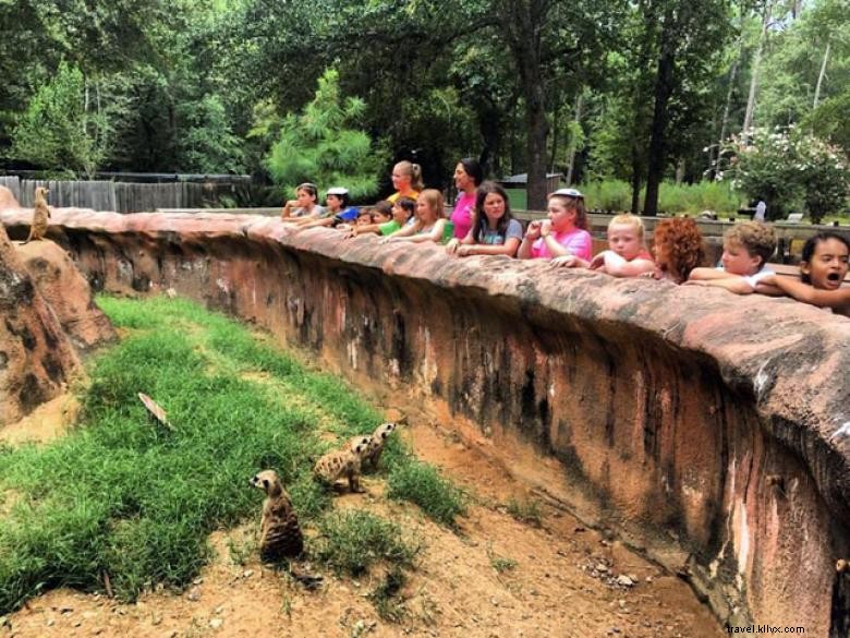 Parc Chehaw – Un refuge naturel du Sud-Ouest de la Géorgie