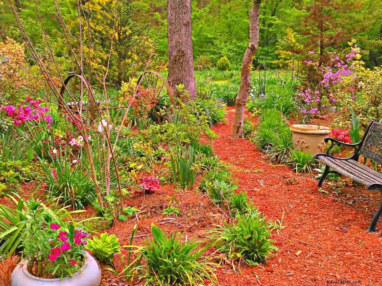 Hémérocalles du Paradis de la Jungle – Jardins d’Agritourisme en Géorgie