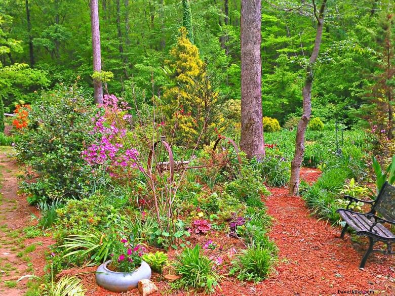 Hémérocalles du Paradis de la Jungle – Jardins d’Agritourisme en Géorgie