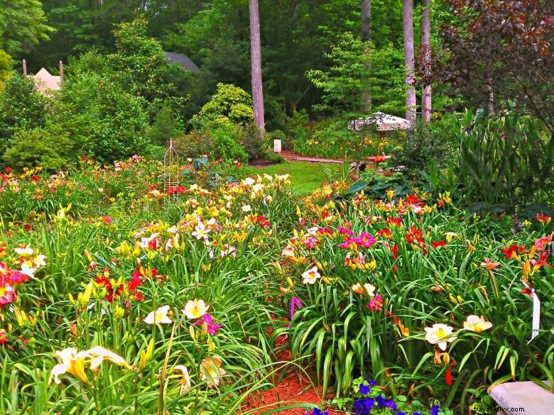 Hémérocalles du Paradis de la Jungle – Jardins d’Agritourisme en Géorgie