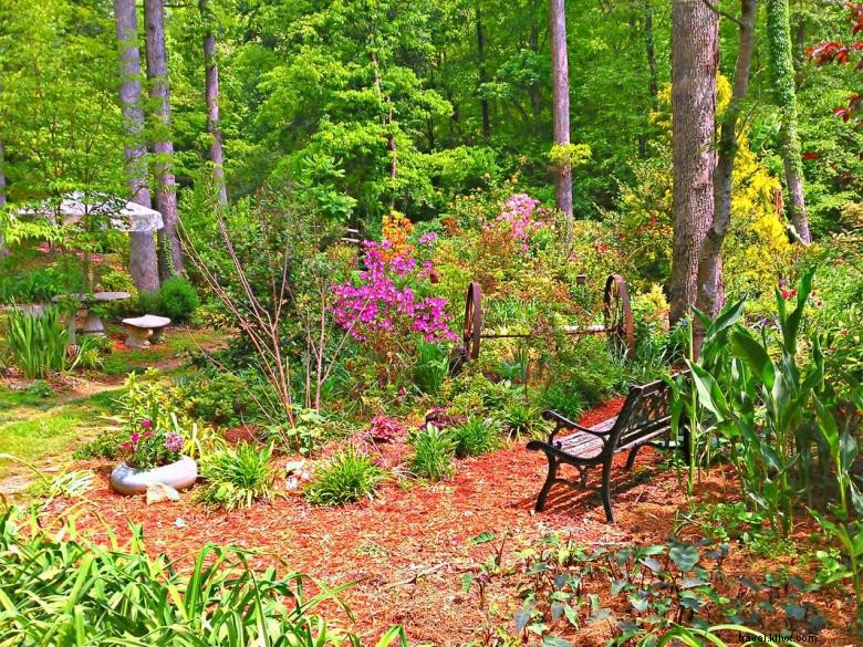 Hémérocalles du Paradis de la Jungle – Jardins d’Agritourisme en Géorgie